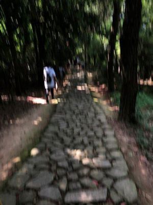 從嘉興到海鹽的行進路徑及其周遭文化窠臼探究